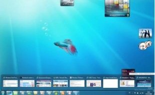 Windows 7, compatible avec 90 % des logiciels grand public, est très convivial.