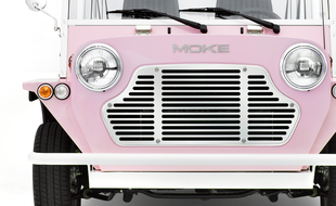 Moke