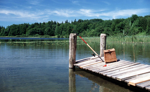 La victime était venue pêcher avec son fils dans un lac. Illustration.