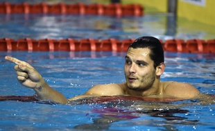 Florent Manaudou aux championnats de France en petit bassin, à Montpellier le 20 novembre 2014.