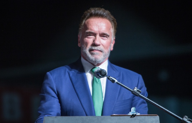 VIDEO. Arnold Schwarzenegger pense que «Donald Trump est amoureux de lui»