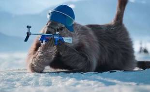 Les marmottes mises en scène dans un spot France 3.