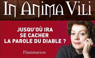 Les mystères de Druon de Brévaux. Volume 4, In anima vili