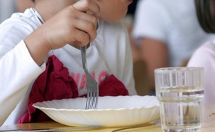 Le repas à la française reste une institution en France et le "passer à table" une pratique à transmettre aux jeunes générations car elle permet d'acquérir de bonnes habitudes alimentaires, selon un sondage Ipsos pour la Fondation Nestlé France publié jeudi.