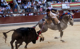 Le torero portugais Joao Moura lors d'une corrida à Madrid (Espagne), en mai 2019.