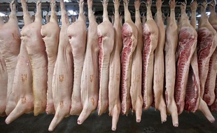 Un abattoir de Roma (Roumanie), le 12 février 2013.