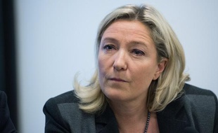 La présidente du Front national Marine Le Pen, le 22 janvier 2014 à Paris.