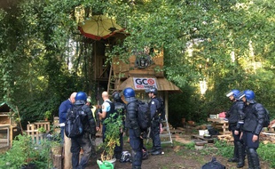 Plus de 500 gendarmes mobiles ont été dépêchés ce lundi matin pour évacuer la ZAD de Kolbsheim (Bas-Rhin).
