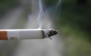 Strasbourg: «Si ça peut éviter de se retrouver enfumé par la clope des autres...», les internautes réagissent à la fin du tabac dans les parcs (Illustration)
