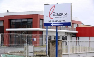 Fournisseurs méfiants, banquiers frileux, services vétérinaires sourcilleux, l'ex-société Spanghero continue de payer le prix du scandale de la viande de cheval et mise sur les grillades au printemps pour sortir de la zone difficile.