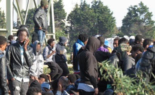 Migrants en attente d'évacuation à Calais, le 25 octobre 2016