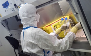 Un ingénieur-virologue manipule le 30 juillet 2020 le coronavirus au siège de la biotech Valneva à Saint-Herblain.