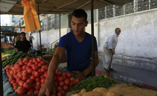 Mouammar Qouider, le 29 septembre 2015 sur son stand de légumes à Gaza