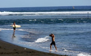 La "pêche scientifique" de 20 requins bouledogues et tigres à la Réunion, officiellement destinée à analyser leur toxicité en vue de leur commercialisation, risque de rester sans lendemain dans cette île où l'on rechigne à consommer ces prédateurs "mangeurs d'homme".