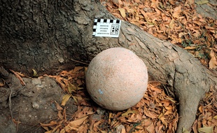 Un œuf de dinosaure (photo d'illustration)