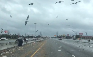 Une route de Houston après le passage de la tempête Harvey.