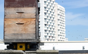 Les ruches installées sur le toit de La Poste du Colombier sont désormais connectées.