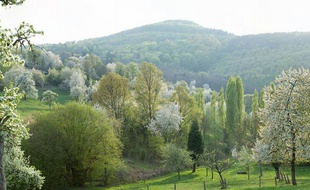 La commune de Niederbronn est située dans le territoire du Parc naturel régional des Vosges du Nord, dans le nord de l'Alsace.