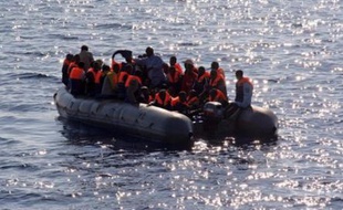 Quatorze personnes ont péri et sept étaient portées disparues vendredi après le naufrage, au large de Mayotte, d'une barque chargée de clandestins venus chercher fortune sur l'île française de l'Océan indien.