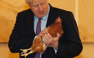 Boris Johnson en visite dans un élevage de poules, le 30 juillet 2019.