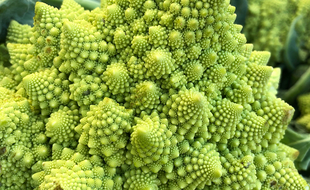 Deux chercheurs de la région Auvergne-Rhône-Alpes ont percé le mystère du chou romanesco