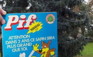 En 1975, le magazine français pour la jeunesse Pif Gadget invitait ses lecteurs à planter une petite brindille d'épicéa. Quelques décennies plus tard, un Français s'est mis en quête des sapins Pif, rencontrant l'engouement d'un public nostalgique et friand de belles histoires.