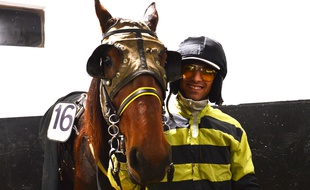 Le driver et son cheval dans un boxe de l’hippodrome de Vincennes, le 31 octobre.