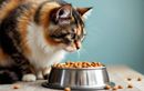 Mon chat ne mange plus comme avant : les signaux à repérer avant de s’inquiéter