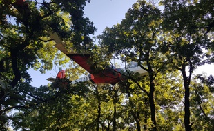 Le planeur a loupé son atterrissage et s'est retrouvé perché sur la cime des arbres.