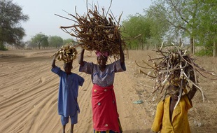 Sécheresse au Niger, en avril 2010.