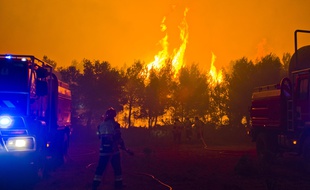 Durant la nuit du 13 et 14 juillet un feu de foret tres important sur la commune de Chateauneuf-les-Martigues, les flammes ont parcouru 150 hectares de pinede et de pins maritimes. Plus de 280 pompiers et 80 engins ont ete envoyes sur place. (Bouches-du-Rhône, Var et Vaucluse) ont lutte contre l'incendie toute la nuit.