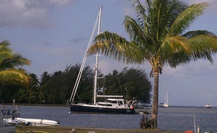 Deux pirates somaliens ont été condamnés jeudi aux Etats-Unis à la prison à vie pour avoir participé à l'attaque d'un yacht au large d'Oman en février lors de laquelle quatre Américains avaient été tués.