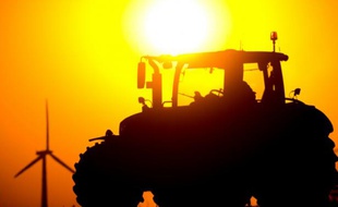 Les prix agricoles mondiaux ont enregistré en août une forte baisse et atteint leur plus bas niveau en sept ans, principalement en raison de l'abondance de l'offre