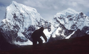 Illustration du Yeti