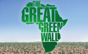 Affiche du film The great green wall