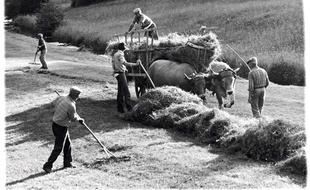 Photo extraite du livre "Les derniers paysans" de Serge Chevallier et Phillipe Dubois (ed. Delachaux).