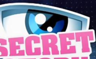 Secret Story, le néo-Loft de TF1