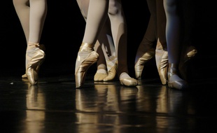 Illustration de pointes de ballet traditionnelles.