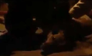 Capture d'écran de la vidéo amateur montrant un pompier réanimant un chien, à Santiago, au Chili, le 21 juillet 2013.