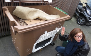 Le lombricompost collectif, installé à la Maison de l'habitat durable à Lille-Wazemmes.