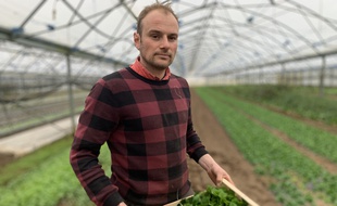 Ludovic Riedinger maraîcher, dans l'exploitation familiale à Hoerdt (Alsace) le 17 février 2020.