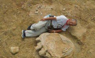 Une des plus grandes traces de patte de dinosaure jamais enregistrées a été découverte, an août 2016, dans le désert de Gobi (Mongolie) par une équipe de chercheurs mongoles et japonais.