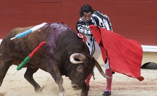 Bayonne (Pyrénées-Atlantiques), le 15 août 2017. Le matador espagnol Curro Diaz face à un taureau de Garcigrande.