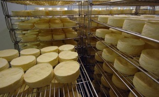 L'association de défense de l'appellation d'origine protégée (AOP) "Camembert de Normandie" a assigné Lactalis, Bongrain, et Isigny-Sainte-Mère en justice afin qu'ils retirent de leurs fromages non AOP la mention "fabriqué en Normandie", a indiqué mardi son avocate.