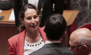 La ministre de l'Energie Ségolène Royal à l'Assemblée Nationale, le 1er juillet 2014 à Paris
