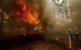 Les pompiers luttent contre le feu en Nouvelle-Galles du Sud (sud-est de l'Australie), le 23 janvier 2020.