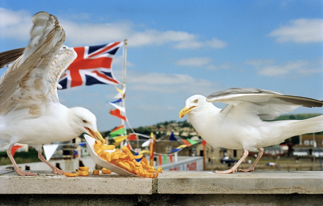 Tout au long de sa carrière, le photographe s'est intéressé à la société britannique sous toutes ses coutures. 