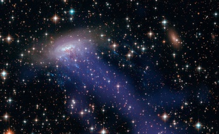 La galaxie ESO 137-001, photographiée par Hubble alors qu'elle se désintègre en traversant l'amas de la Règle.