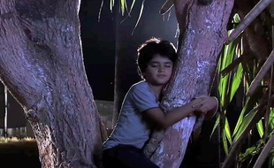 Extrait de Echo of eco, court-métrage de Pan Nalin, diffusé sur Arte dans la série Télégrammes visuels.