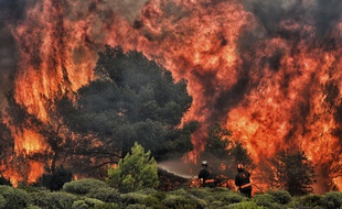 Incendies en Grèce, le 25 juillet 2018.